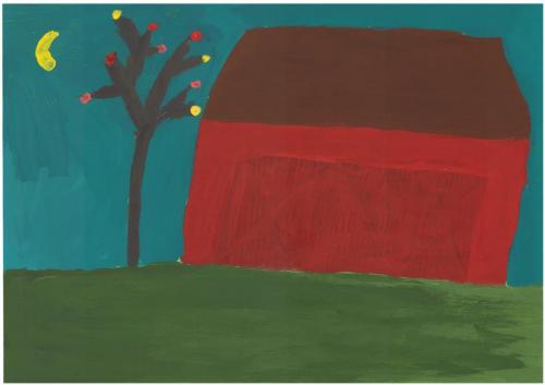 CHIRU-IOANA-MARINELA